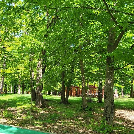 Hotel Elyon Деж Экстерьер фото