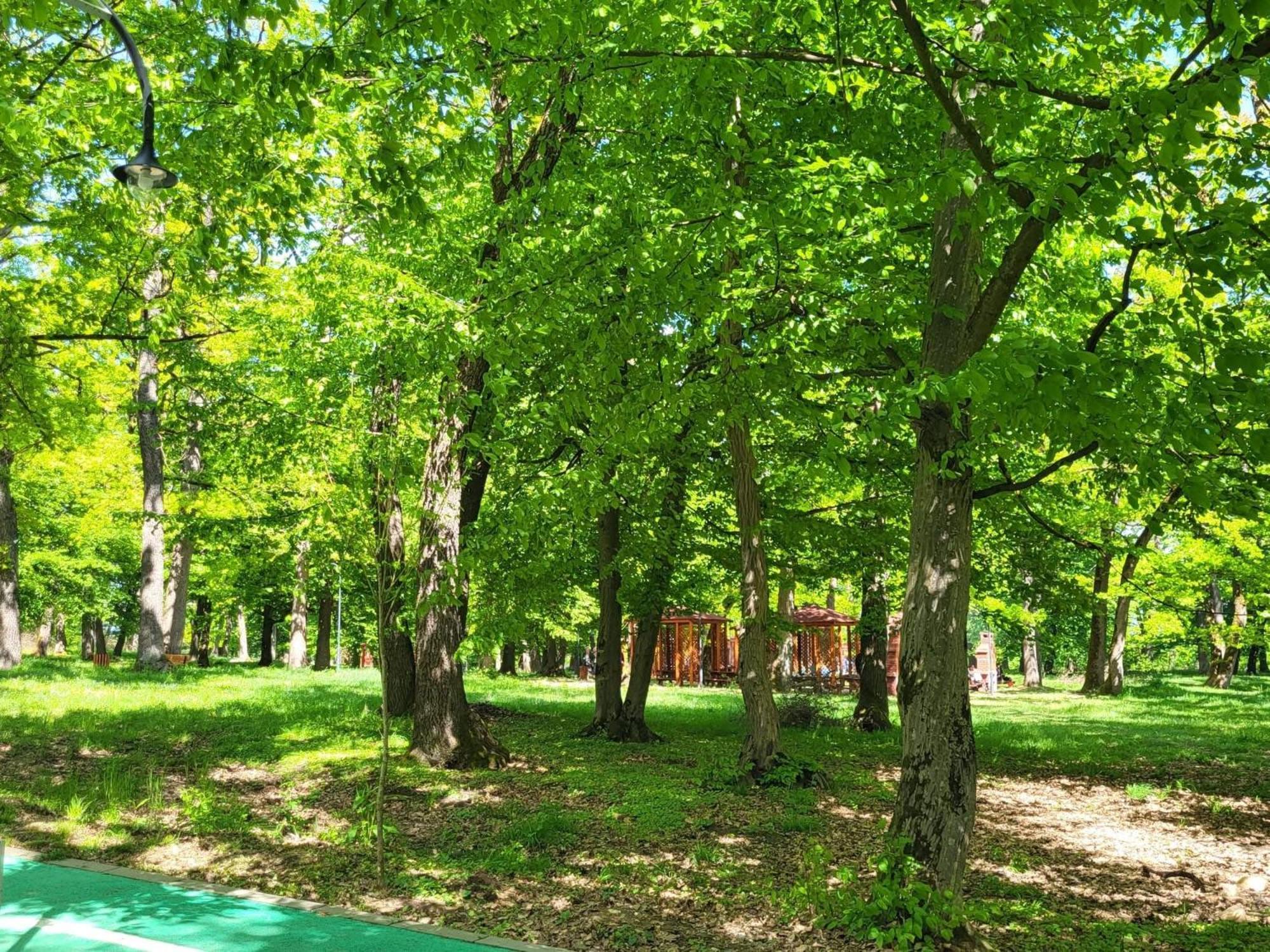 Hotel Elyon Деж Экстерьер фото